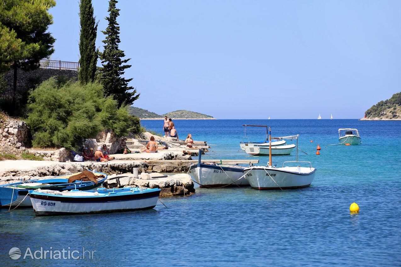 Kalebova Luka i Riviera Rogoznica (Sjeverna Dalmacija)