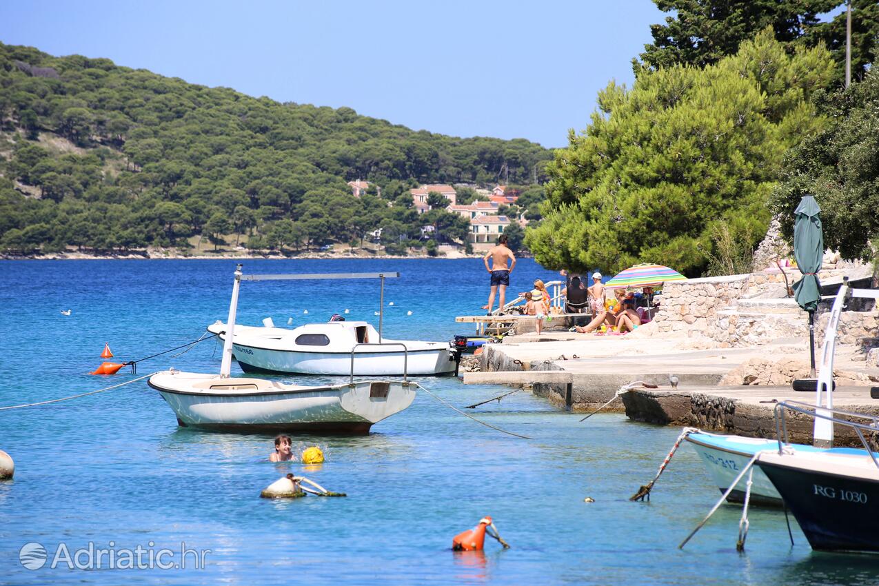 Kalebova Luka na riwierze Rogoznica (Sjeverna Dalmacija)