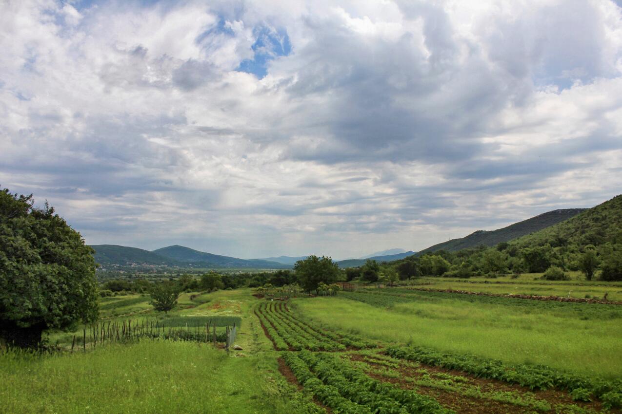 Dicmo an der Riviera Zagora (Srednja Dalmacija)