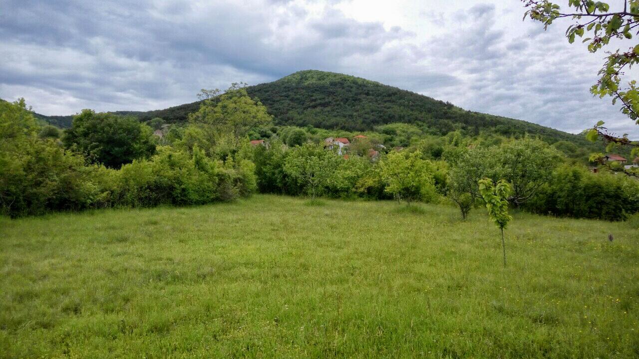 Dicmo an der Riviera Zagora (Srednja Dalmacija)