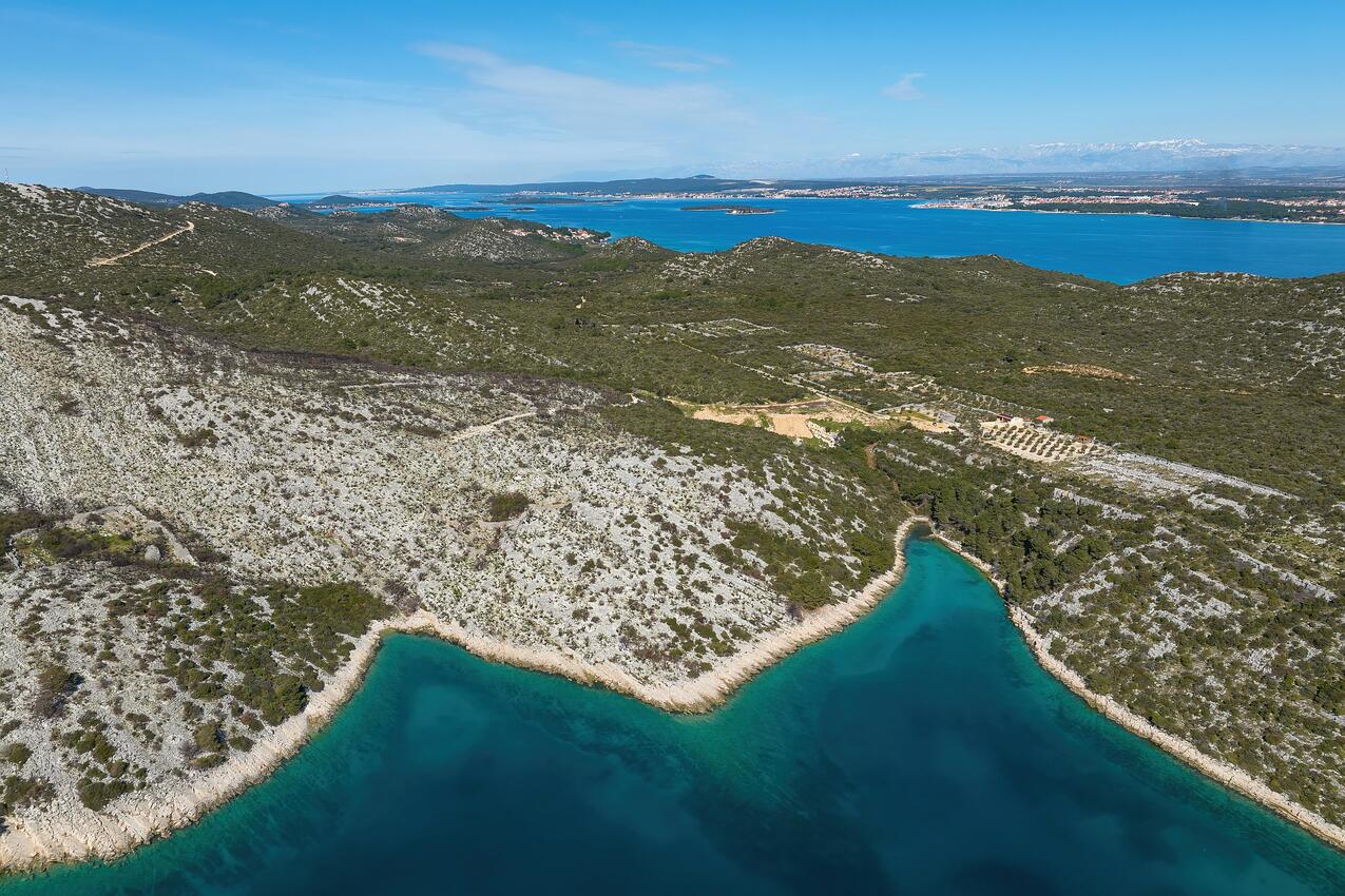 Triluke na otoku Pašman (Sjeverna Dalmacija)