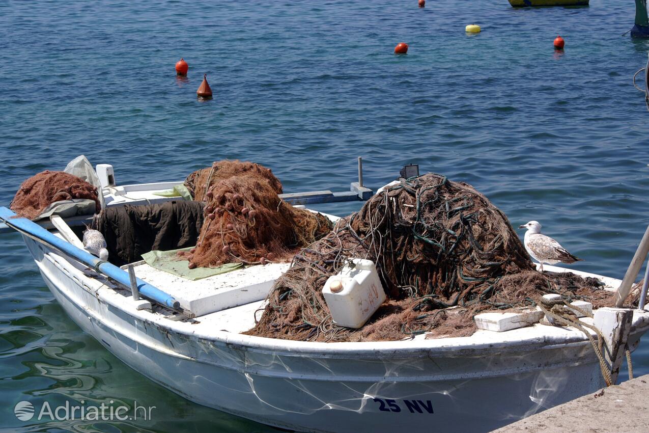 Novalja auf der Insel Pag (Kvarner)