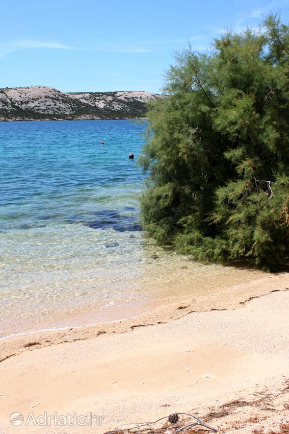 Nearby beaches - Apartments by the sea Stara Novalja, Pag