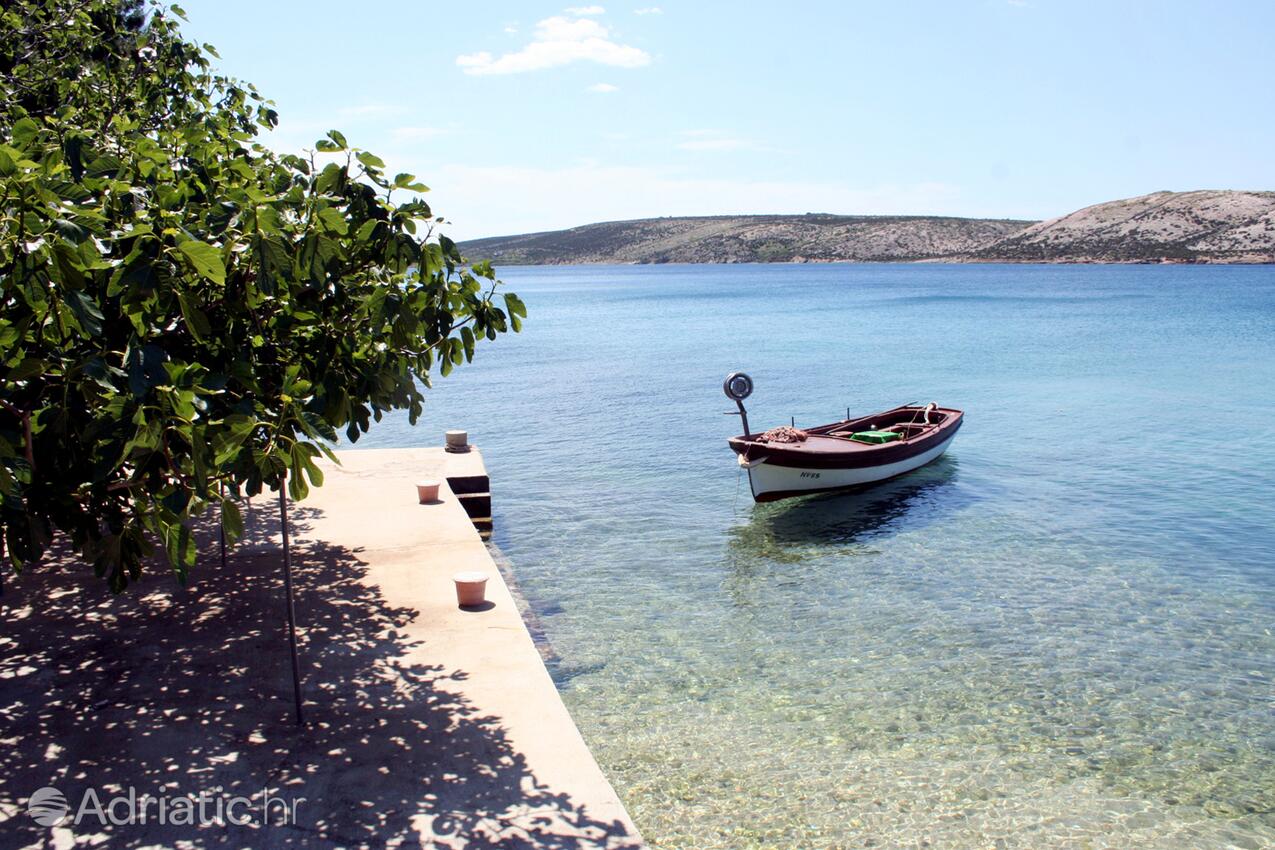 Nearby beaches - Apartments by the sea Stara Novalja, Pag