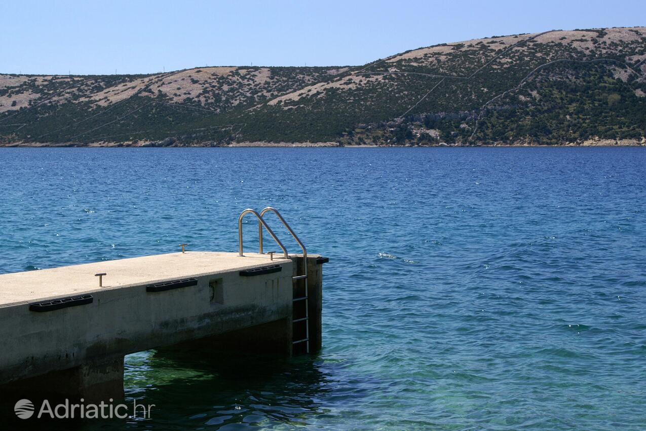Nearby beaches - Apartments by the sea Stara Novalja, Pag