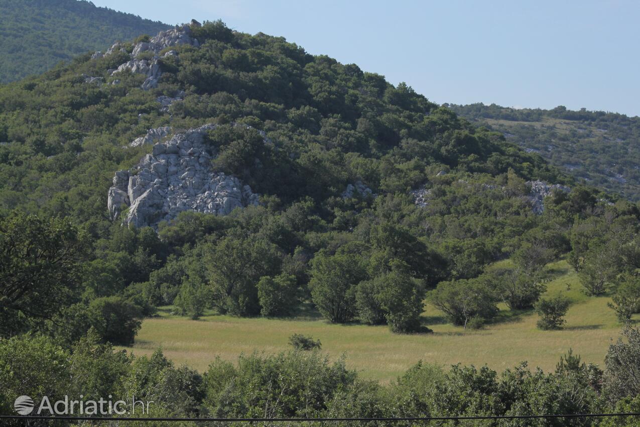 Smokvica Krmpotska dans la côte Novi Vinodolski (Kvarner)