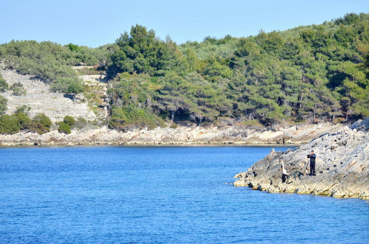 Vela Borova auf der Insel  Korčula (Južna Dalmacija)