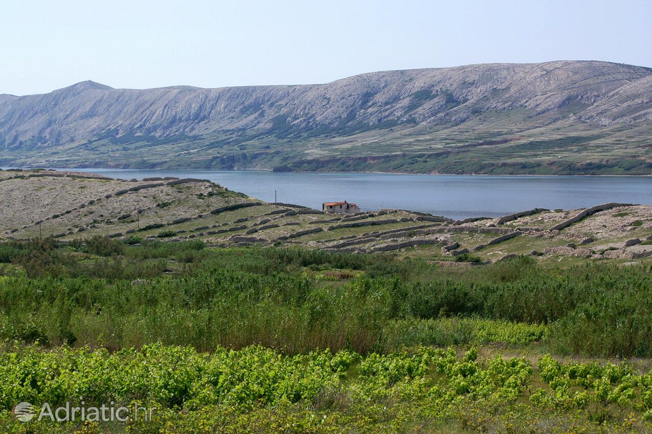 Zubovići op de route Pag (Kvarner)