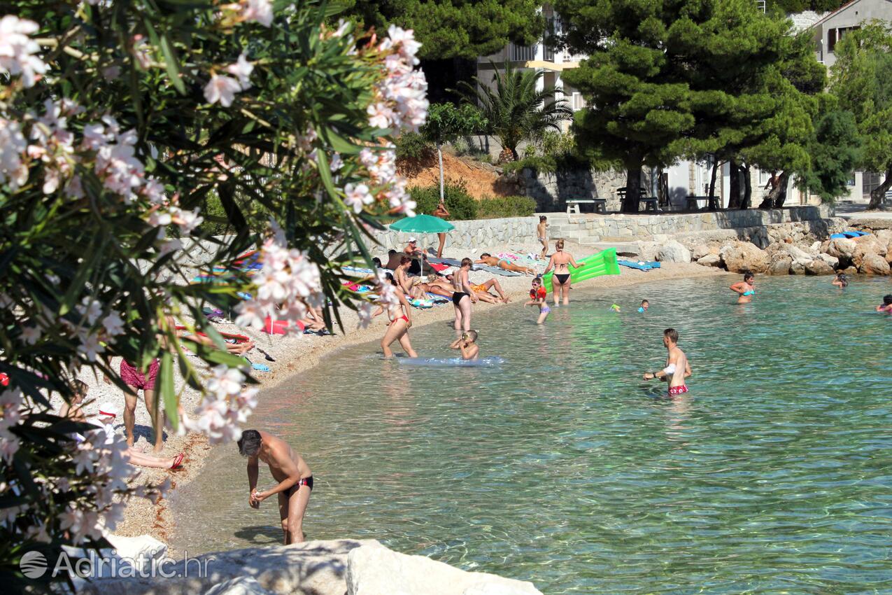 Strände in der Nähe - Ferienwohnungen mit Parkplatz Baska Voda, Makarska