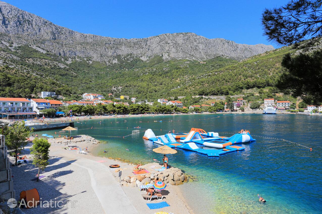 Drvenik Donja vala en la ribera Makarska (Srednja Dalmacija)