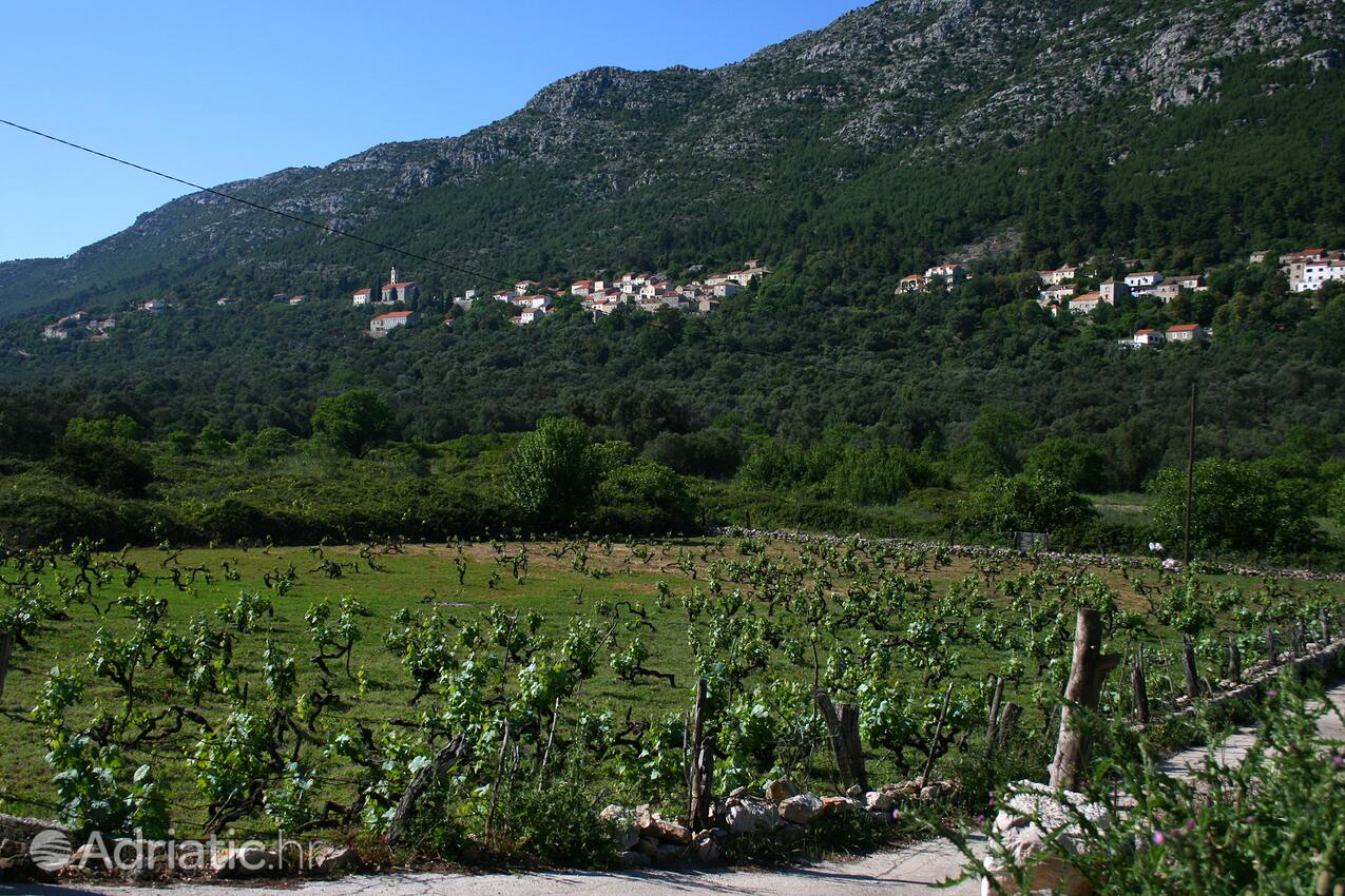 Babino Polje sull'isola Mljet (Južna Dalmacija)