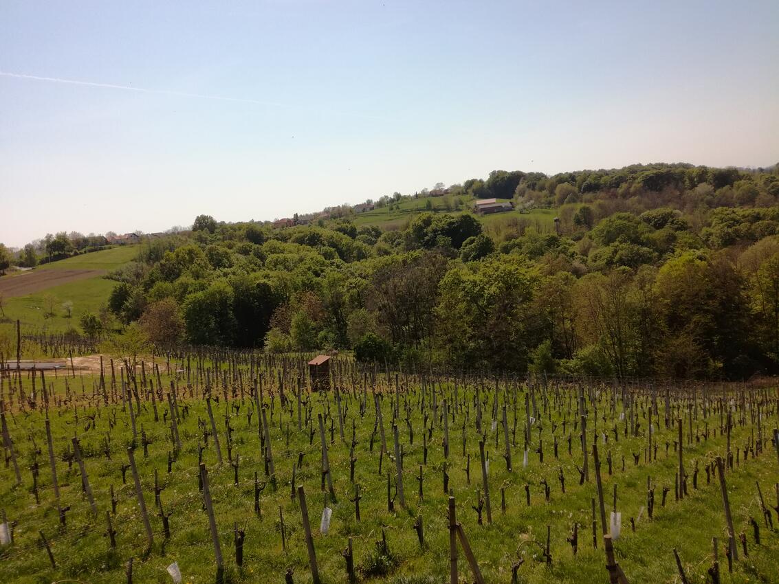 Kapelščak in Međimurje riviera (Kontinentalna Hrvatska)
