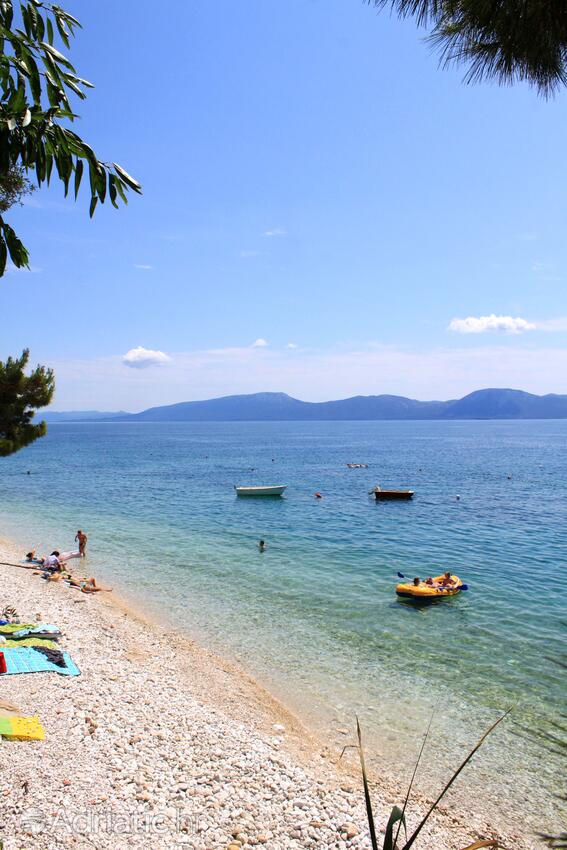Nearby beaches - Apartments with a parking space Podaca, Makarska