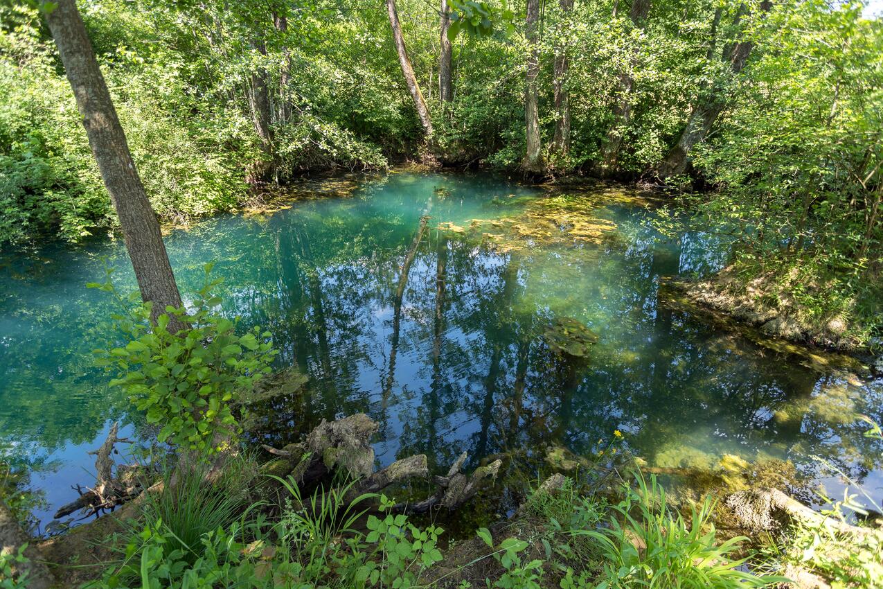 Desmerice i Rivieran Gorski kotar (Lika i Gorski kotar)