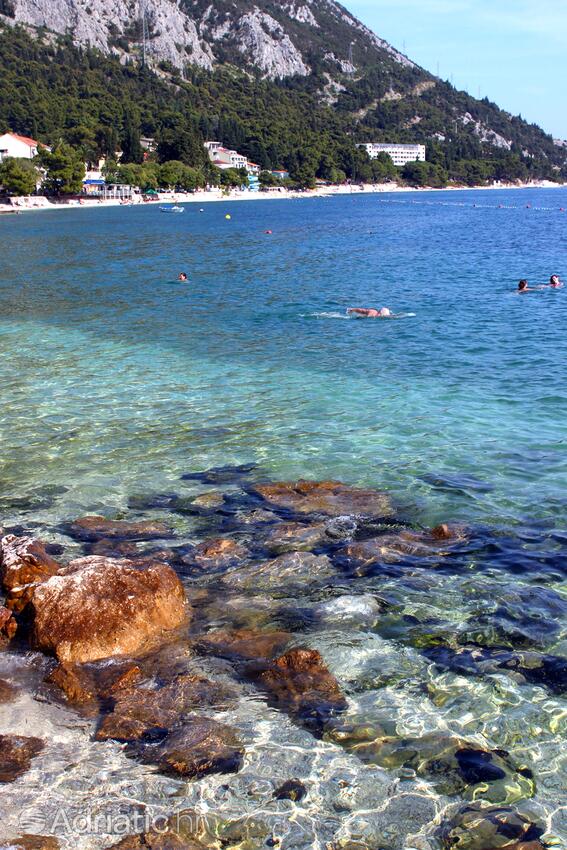 Nearby beaches - Apartments by the sea Gradac, Makarska