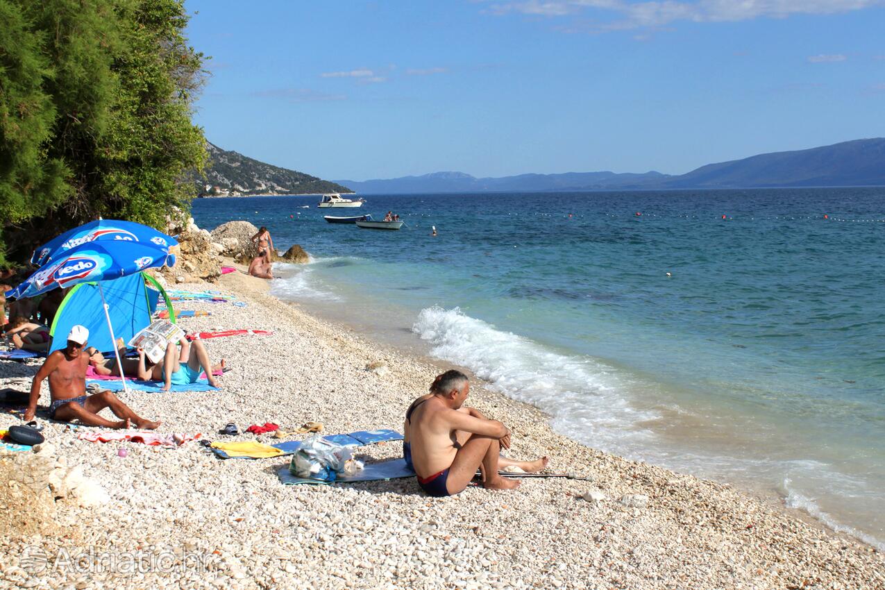 Nearby beaches - Apartments by the sea Gradac, Makarska