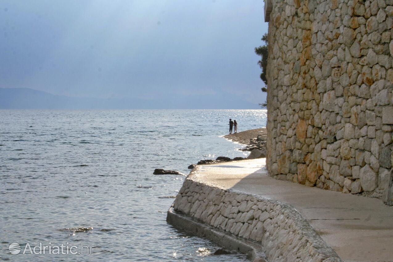 Igrane an der Riviera Makarska (Srednja Dalmacija)