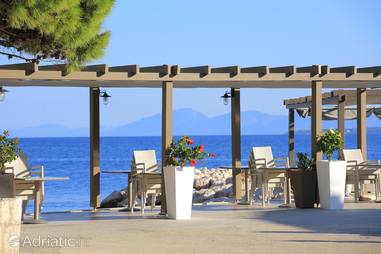 Igrane an der Riviera Makarska (Srednja Dalmacija)