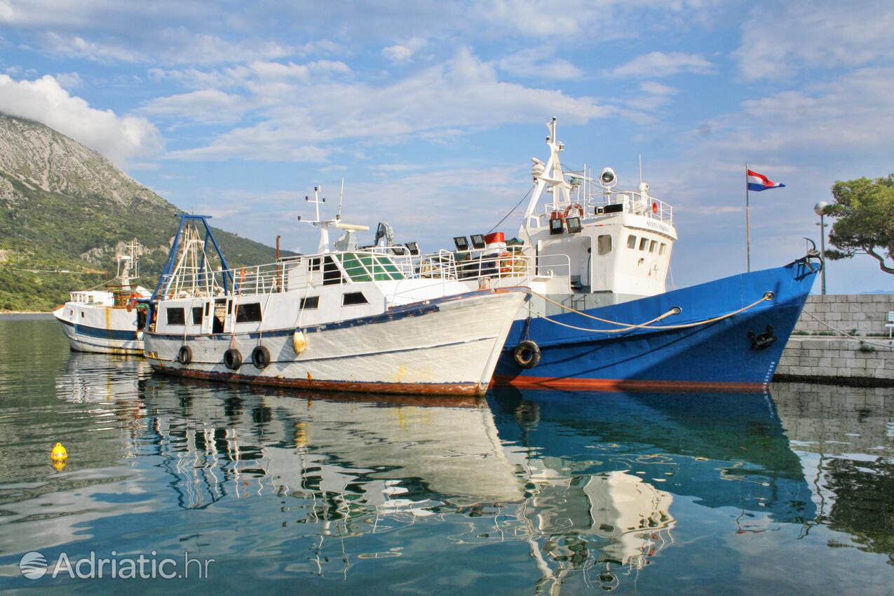 Igrane an der Riviera Makarska (Srednja Dalmacija)