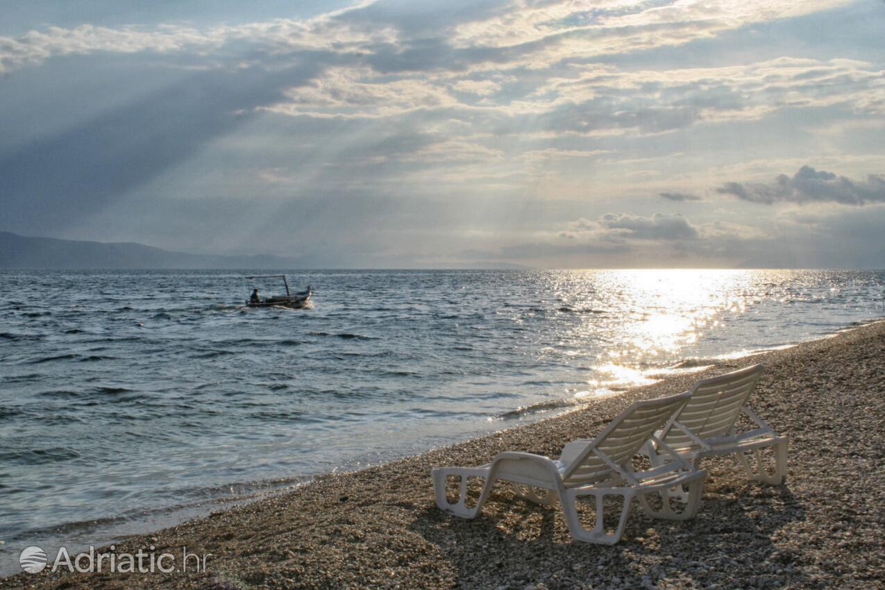 Igrane an der Riviera Makarska (Srednja Dalmacija)