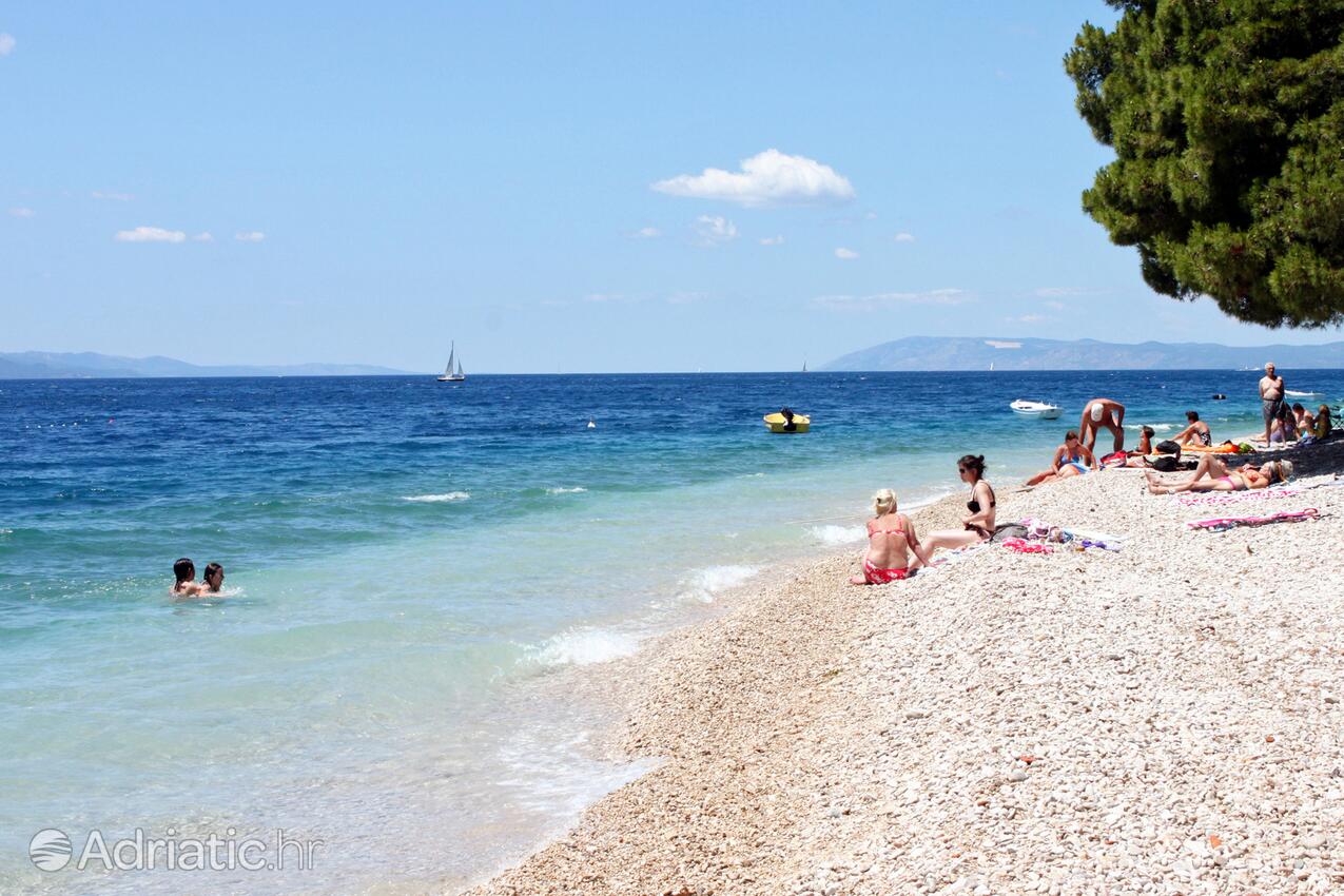 Nearby beaches - Apartments by the sea Igrane, Makarska