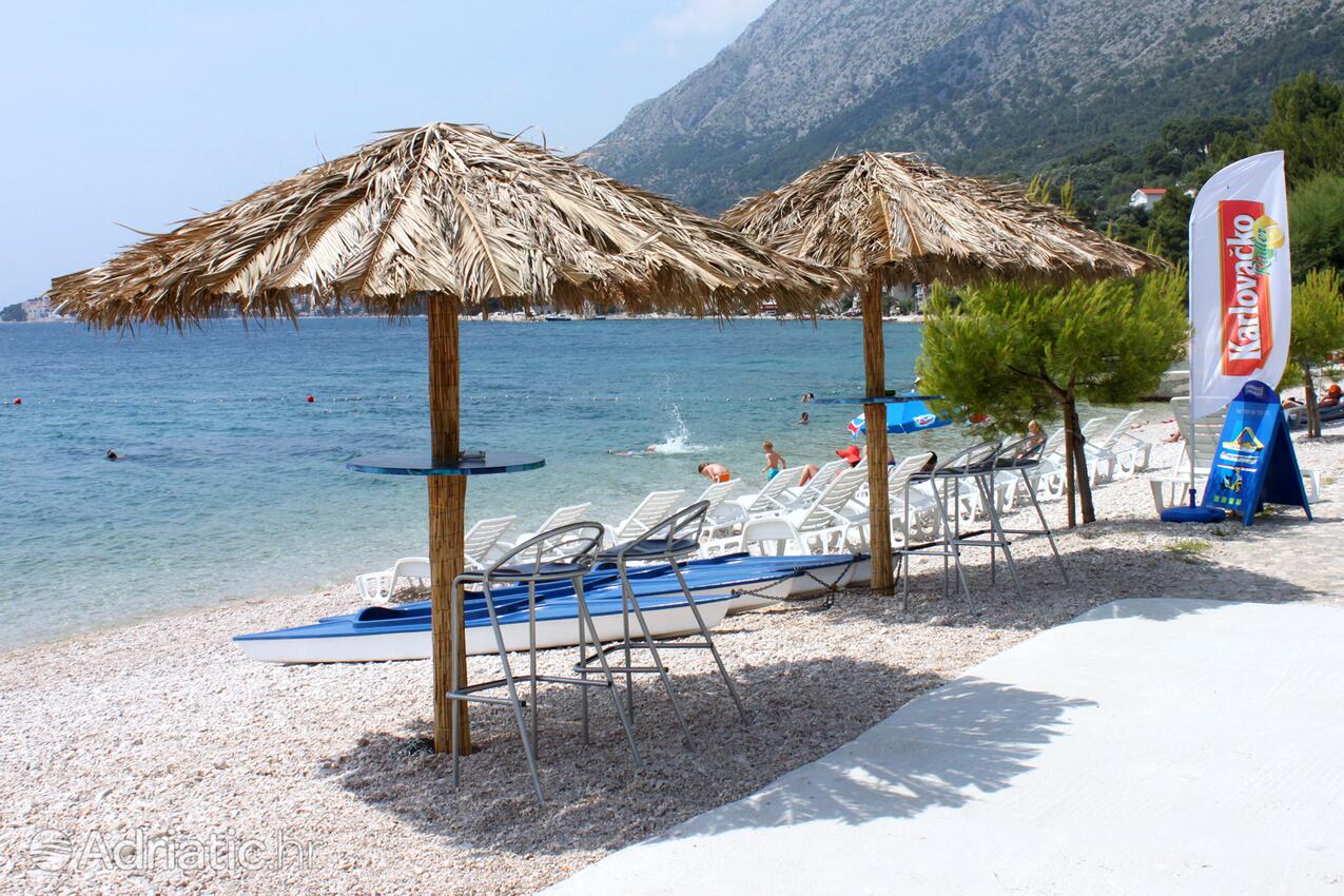 Nearby beaches - Apartments by the sea Igrane, Makarska