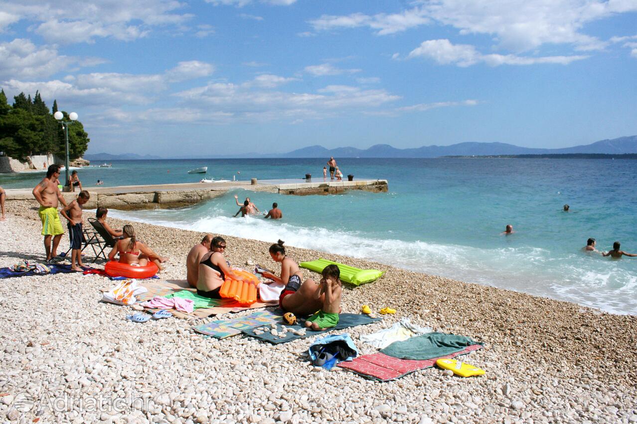 Nearby beaches - Apartments by the sea Igrane, Makarska