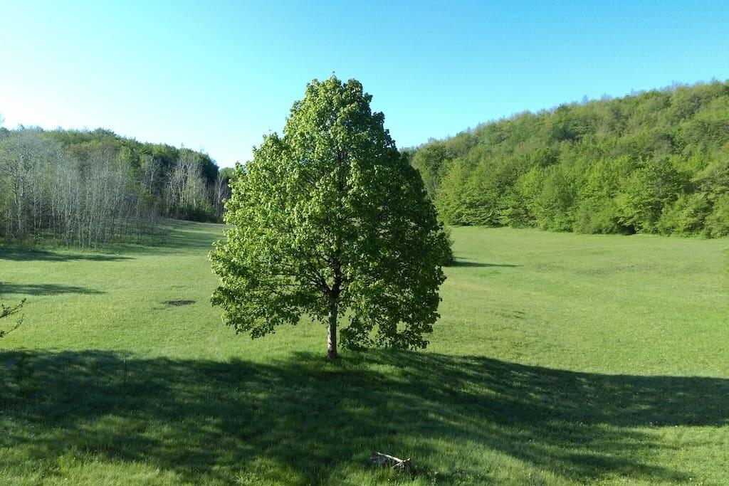 Doljani riviéra Velebit (Lika i Gorski kotar)