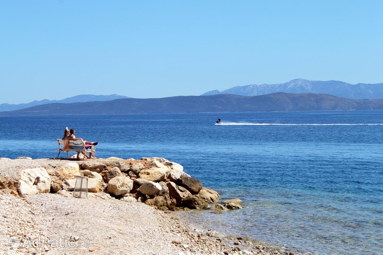 Podgora sulla riviera Makarska (Srednja Dalmacija)