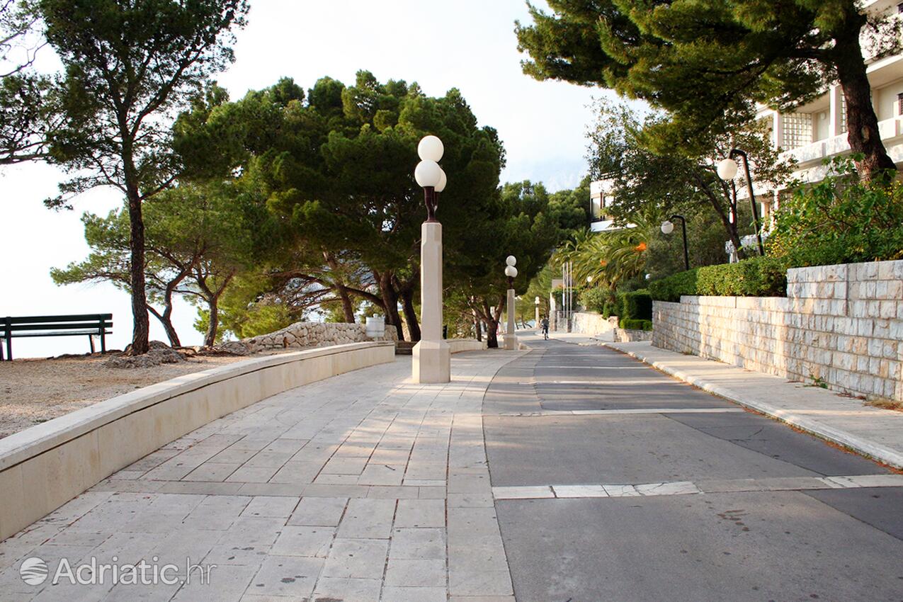 Podgora dans la côte Makarska (Srednja Dalmacija)