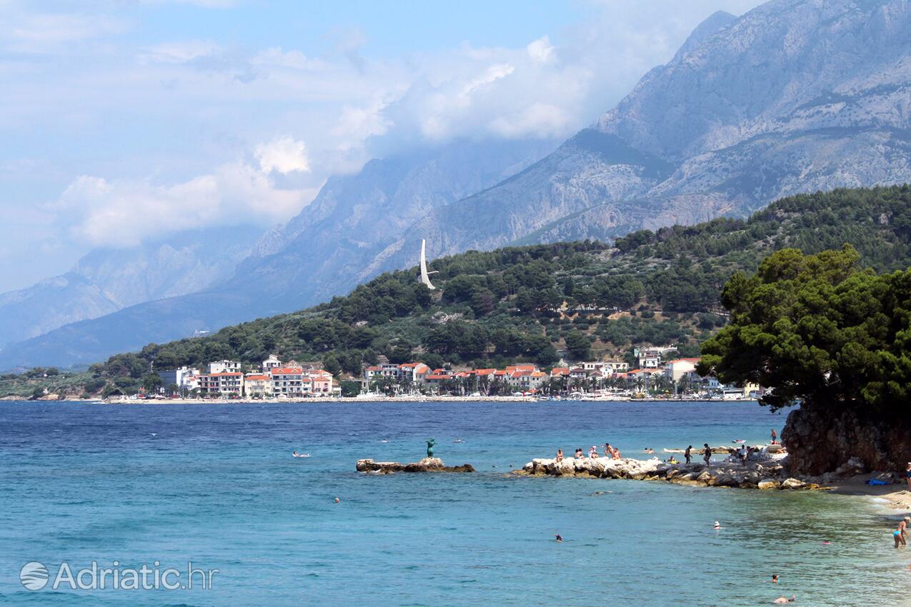 Podgora sulla riviera Makarska (Srednja Dalmacija)