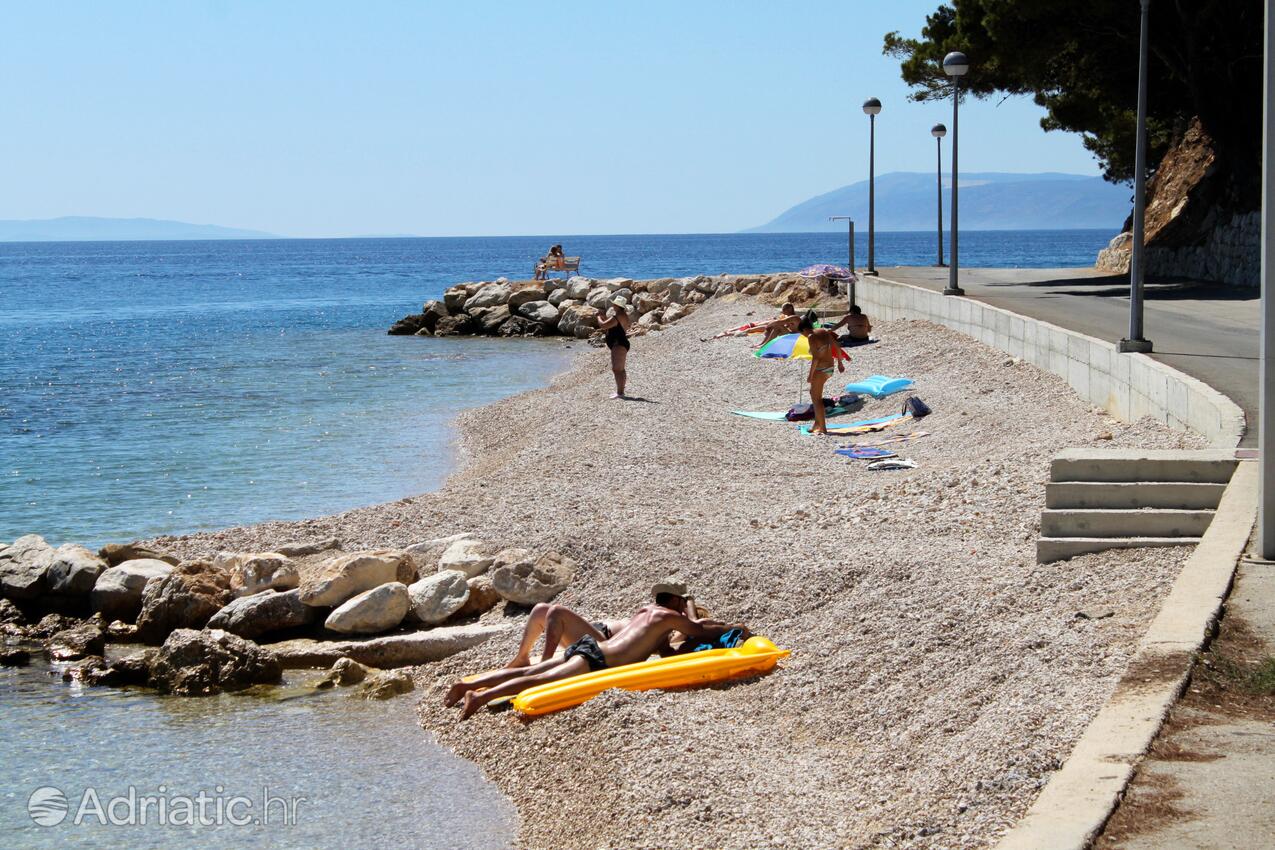 Spiagge nelle vicinanze - Appartamenti accanto al mare Podgora, Macarsca - Makarska