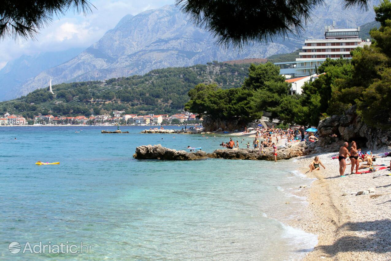 Spiagge nelle vicinanze - Appartamenti accanto al mare Podgora, Macarsca - Makarska