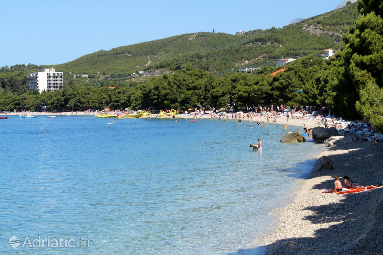 Spiagge nelle vicinanze - Appartamenti accanto al mare Podgora, Macarsca - Makarska