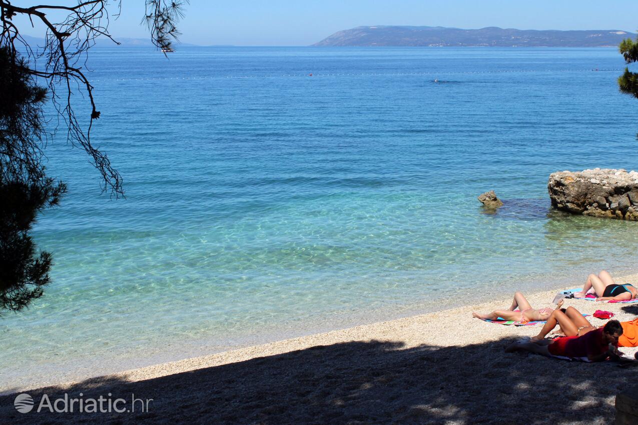 Spiagge nelle vicinanze - Appartamenti accanto al mare Podgora, Macarsca - Makarska