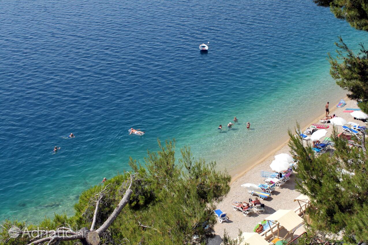 Spiagge nelle vicinanze - Appartamenti accanto al mare Podgora, Macarsca - Makarska