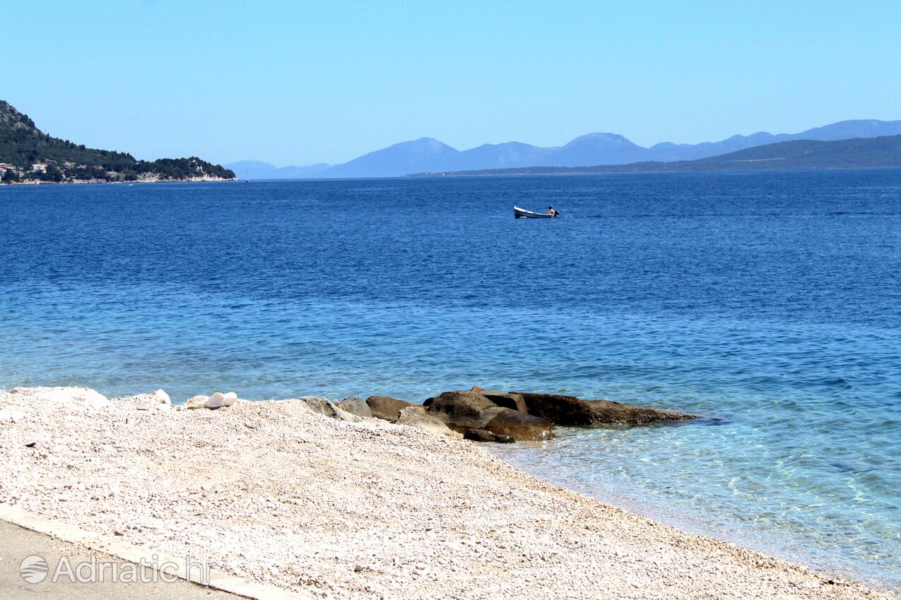Spiagge nelle vicinanze - Appartamenti accanto al mare Podgora, Macarsca - Makarska