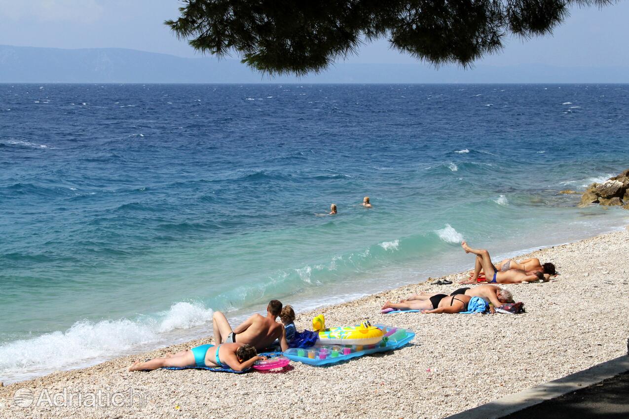 Spiagge nelle vicinanze - Appartamenti accanto al mare Podgora, Macarsca - Makarska