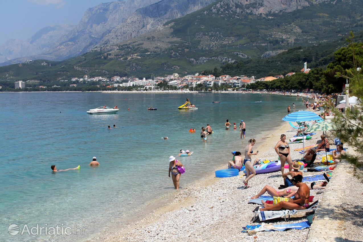Spiagge nelle vicinanze - Appartamenti accanto al mare Podgora, Macarsca - Makarska
