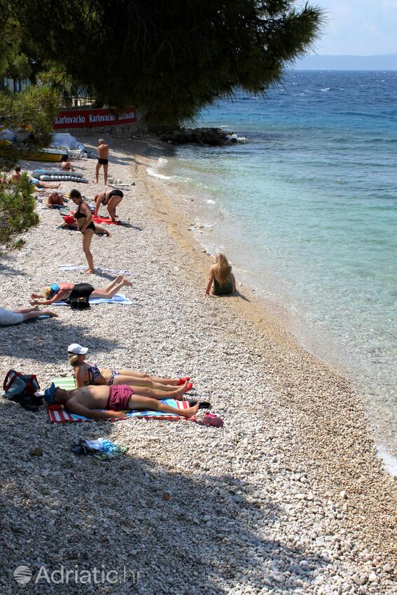 Spiagge nelle vicinanze - Appartamenti accanto al mare Podgora, Macarsca - Makarska