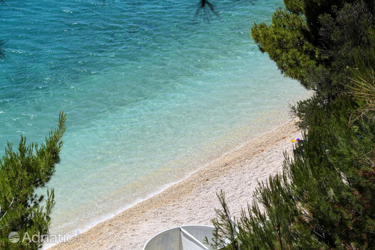 Spiagge nelle vicinanze - Appartamenti accanto al mare Podgora, Macarsca - Makarska