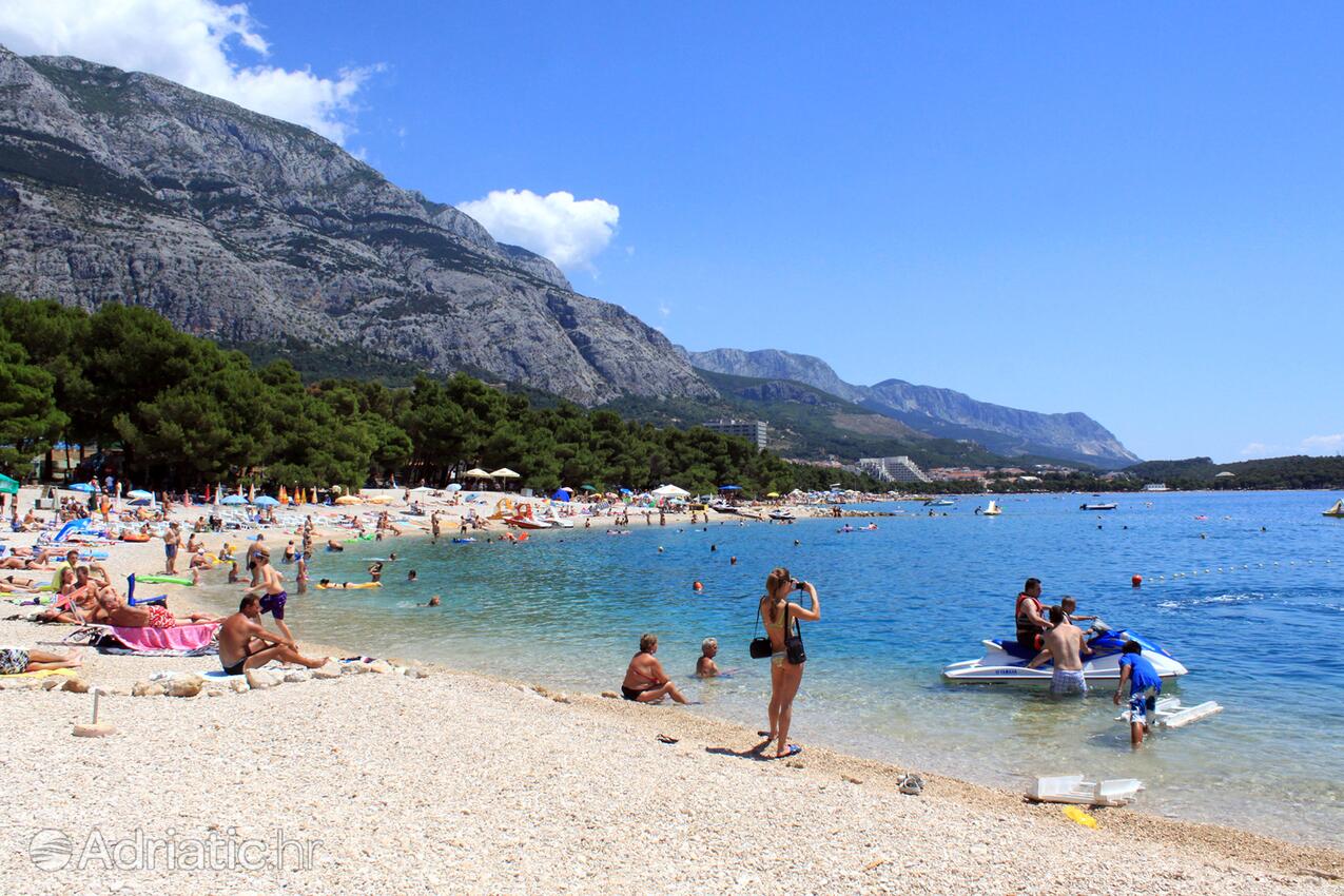 Playas en las cercanías - Apartamentos con piscina Tucepi, Makarska