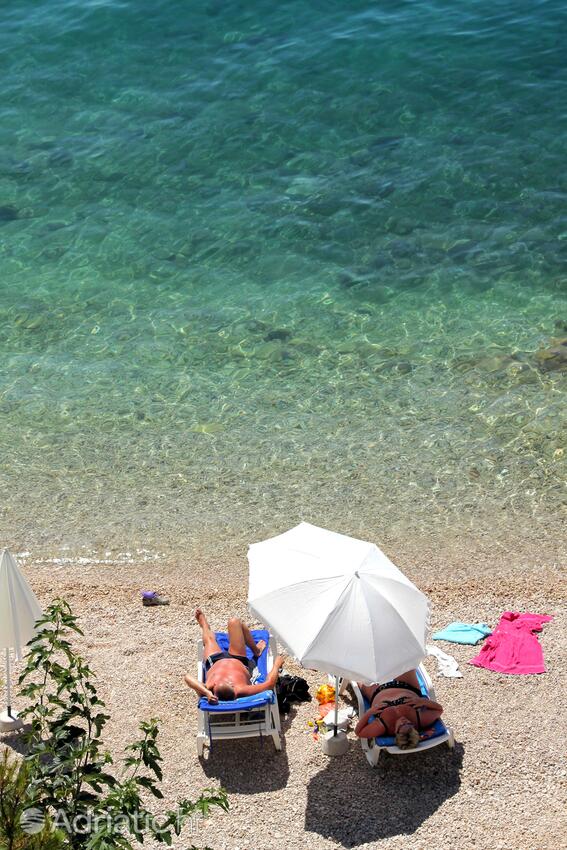 Playas en las cercanías - Apartamentos con piscina Tucepi, Makarska