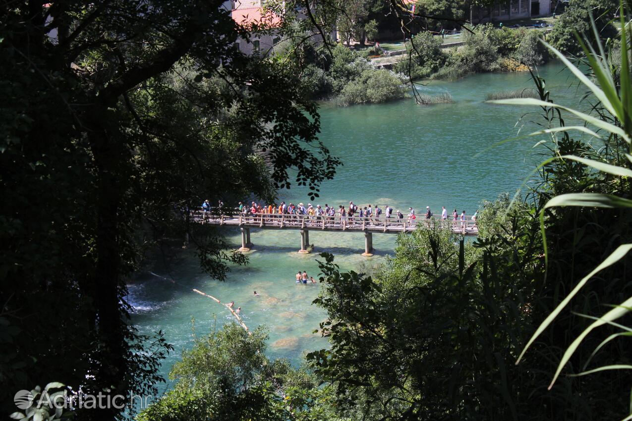 Bogatić na rivieri Krka (Sjeverna Dalmacija)