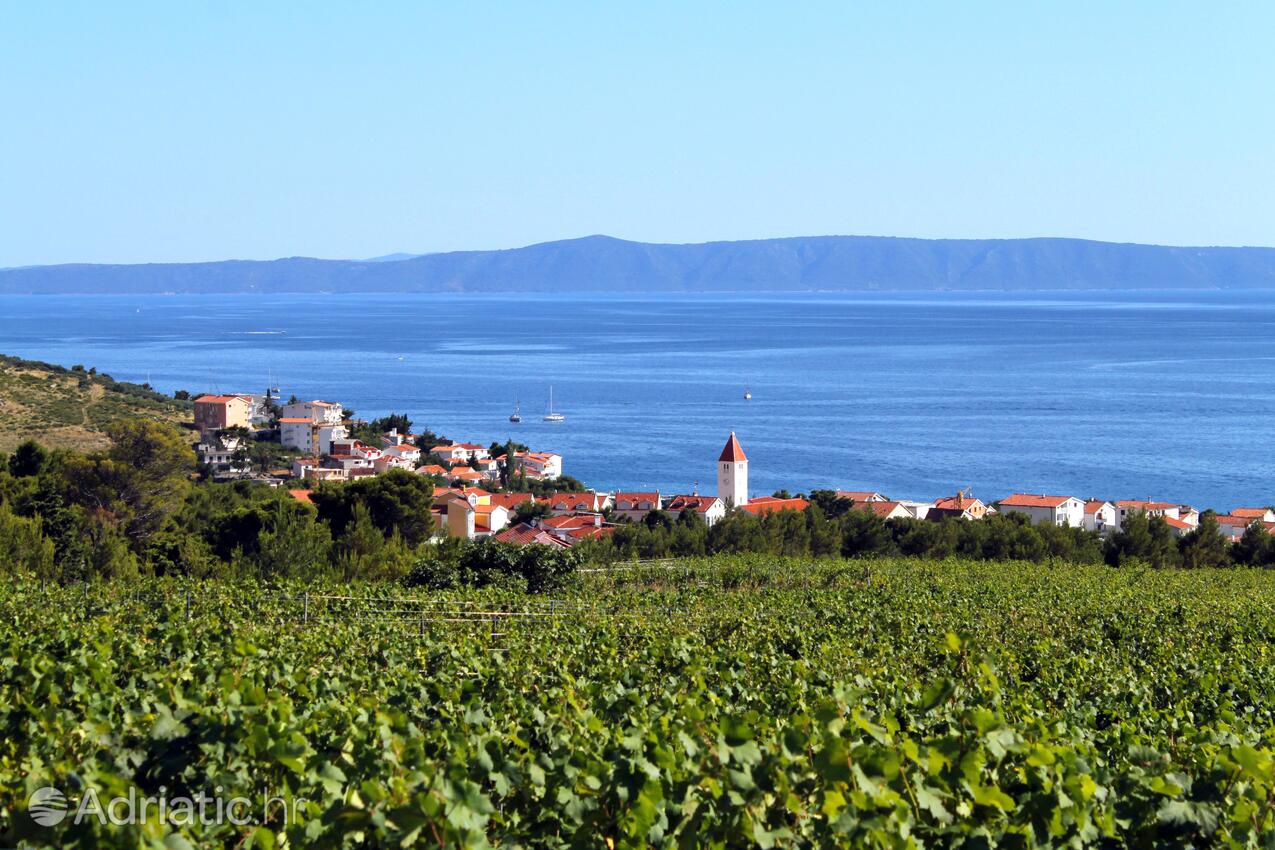 Promajna na rivieri Makarska (Srednja Dalmacija)