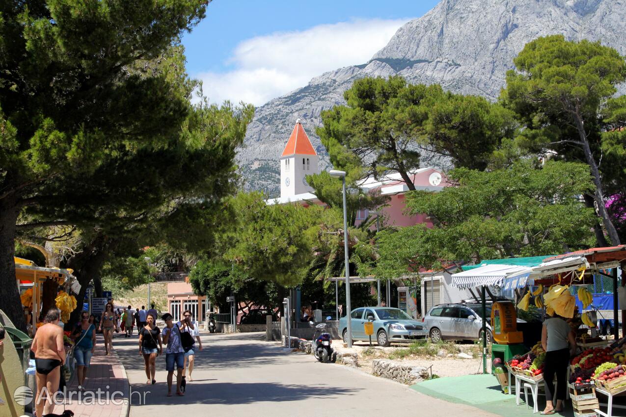 Promajna na rivieri Makarska (Srednja Dalmacija)