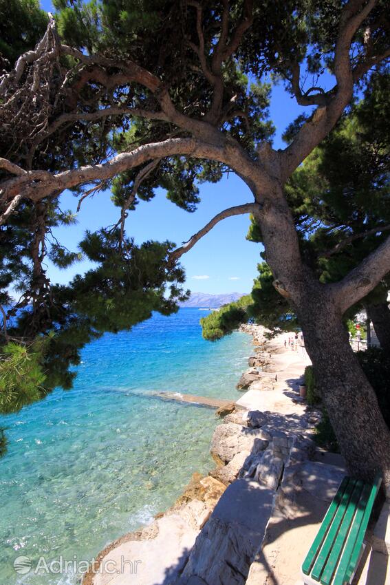 Spiagge nelle vicinanze - Appartamenti con parcheggio Promajna, Macarsca - Makarska