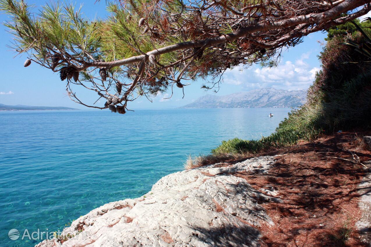 Spiagge nelle vicinanze - Appartamenti con parcheggio Promajna, Macarsca - Makarska