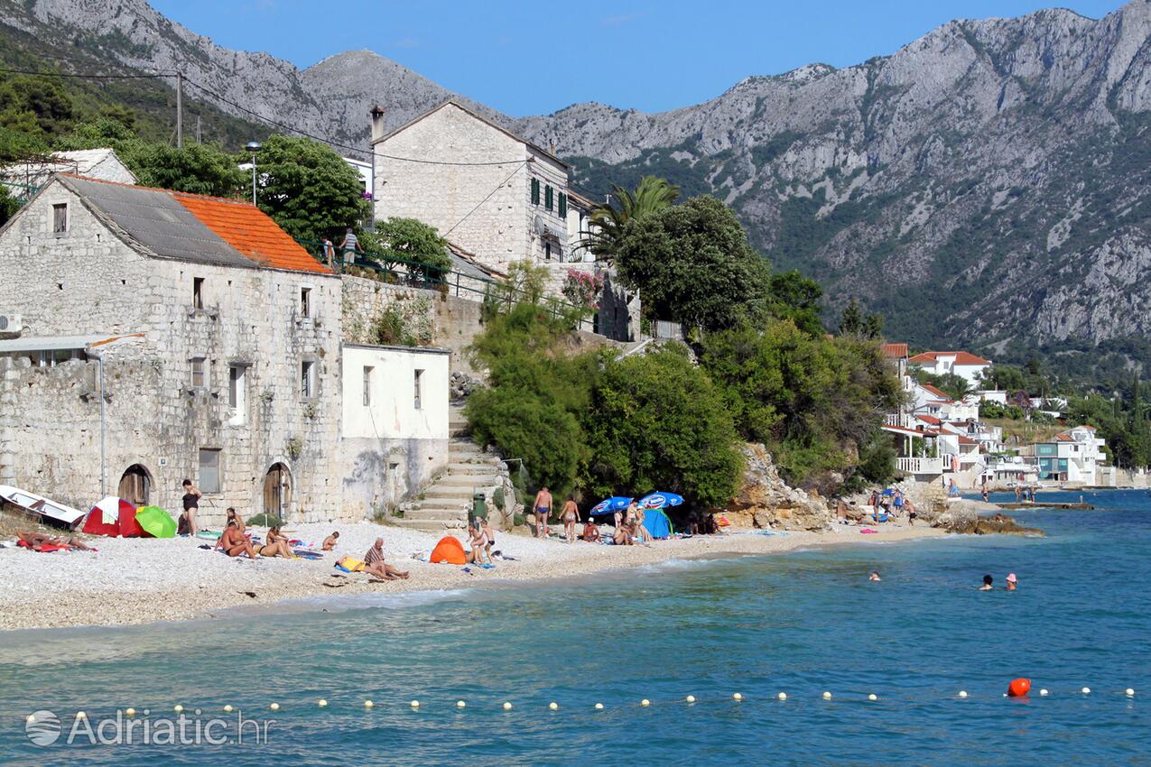 Brist на Ривьере Makarska (Srednja Dalmacija)