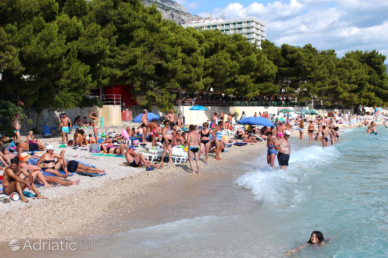 Nearby beaches - Apartments with a parking space Makarska